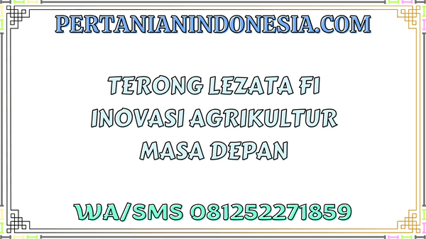 Terong Lezata F1 Inovasi Agrikultur Masa Depan
